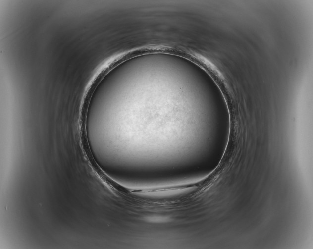 X0000086721327200704271603