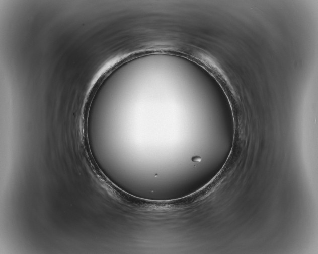 X0000086721328200704271603
