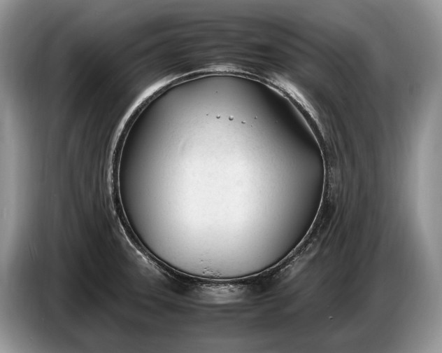 X0000086721331200704271603