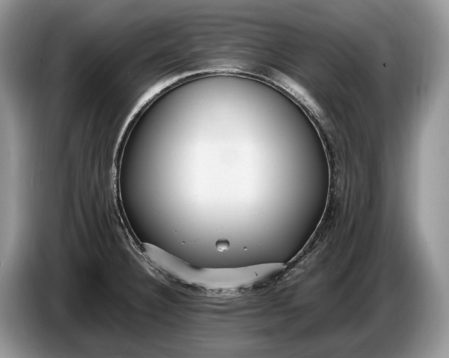 X0000086721332200704271603