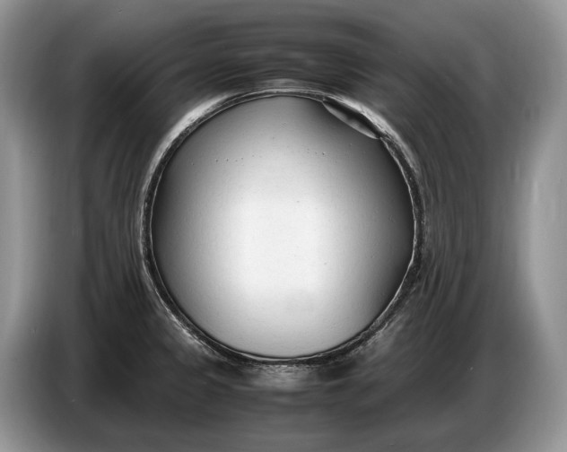 X0000086721333200704271603