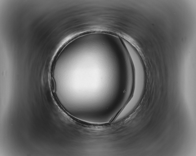 X0000086721334200704271603