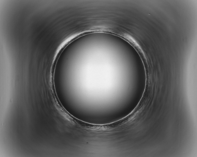 X0000086721336200704271603