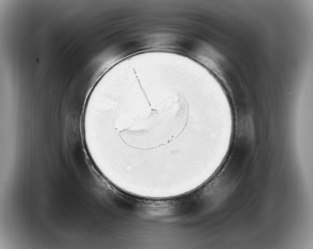 X0000086721338200704271603