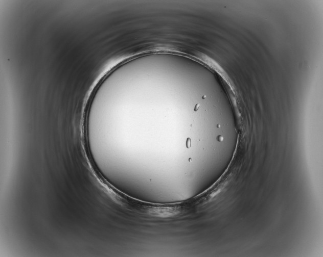 X0000086721339200704271603