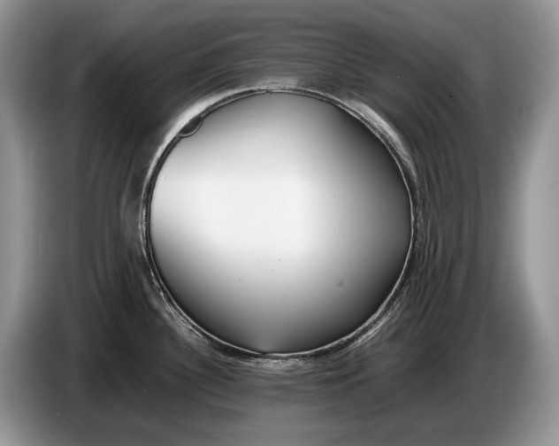 X0000086721340200704271603
