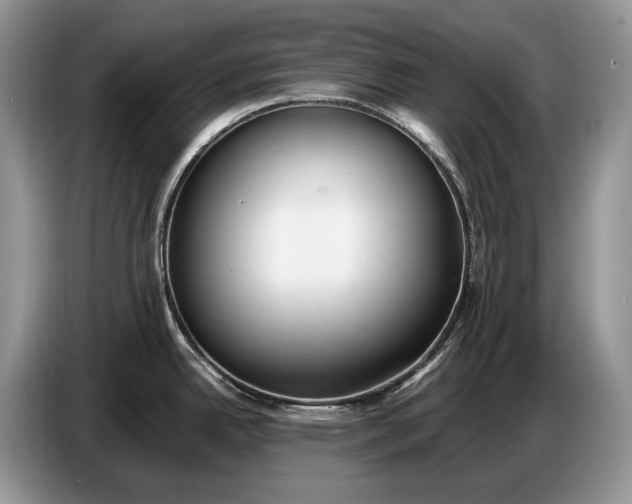 X0000086721342200704271603