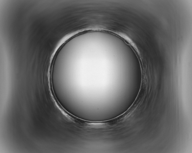 X0000086721343200704271603
