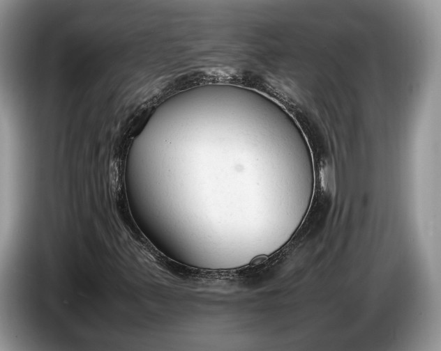 X0000086721347200704271602
