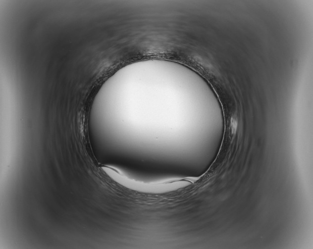 X0000086721348200704271602