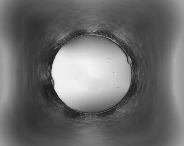 X0000086721349200704271602