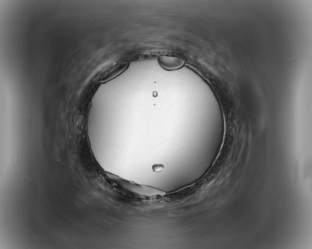 X0000086721351200704271602