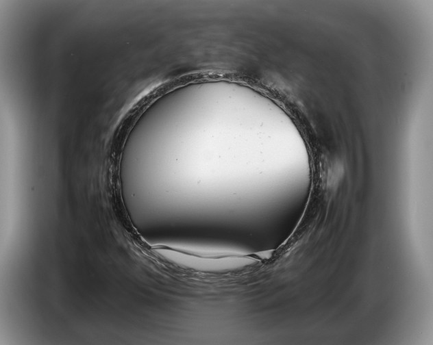 X0000086721352200704271602