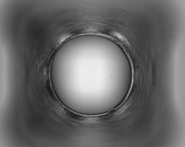 X0000086721353200704271602