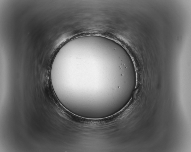 X0000086721355200704271602