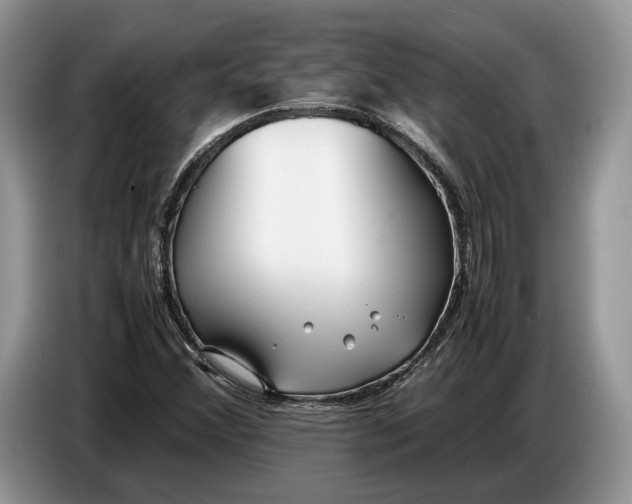X0000086721356200704271602