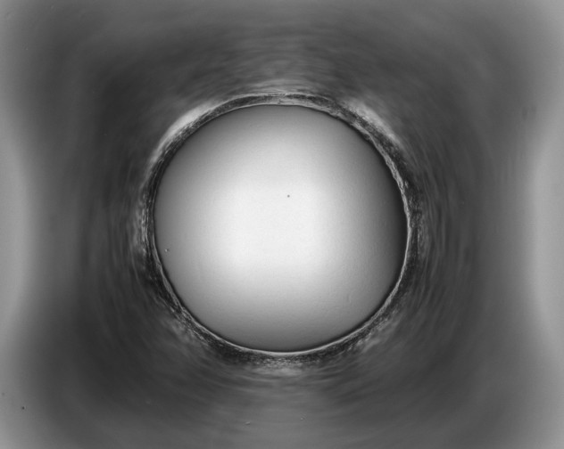 X0000086721358200704271602