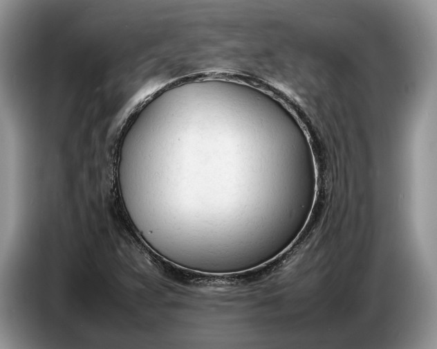 X0000086721359200704271602