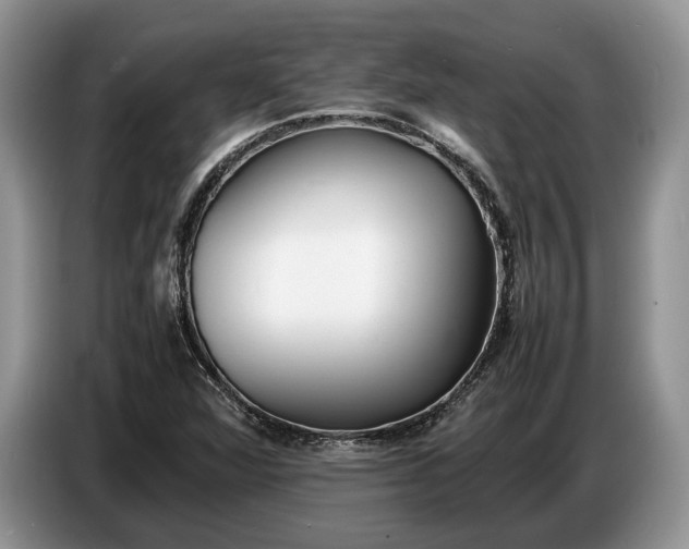 X0000086721360200704271602
