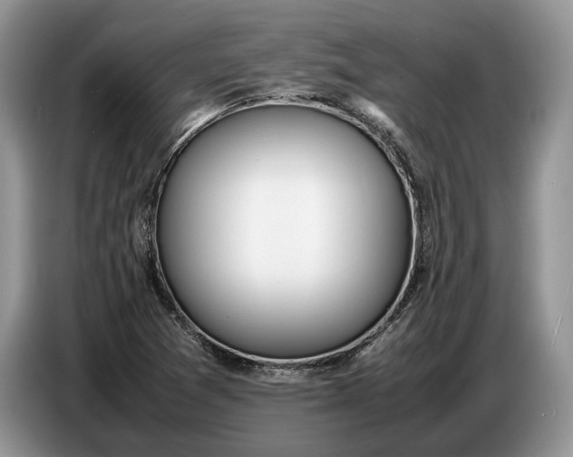 X0000086721361200704271602