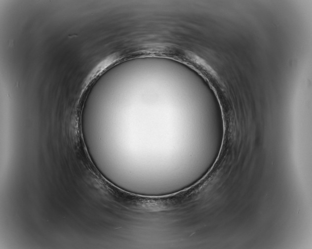 X0000086721362200704271602