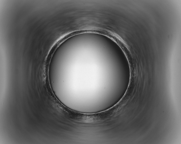 X0000086721364200704271602
