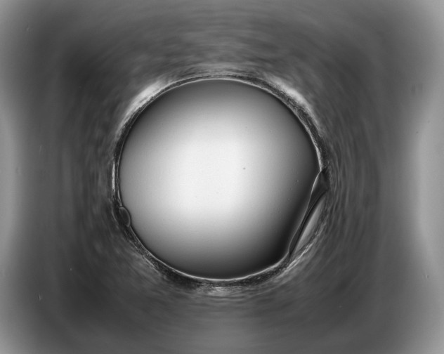 X0000086721365200704271602