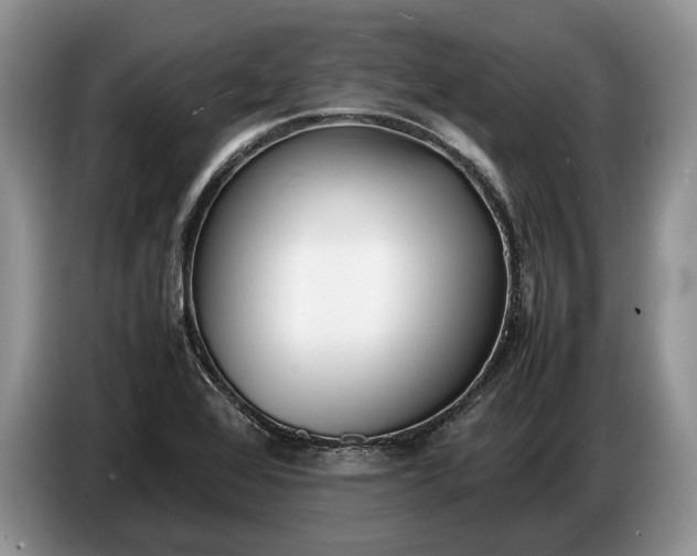 X0000086721368200704271602
