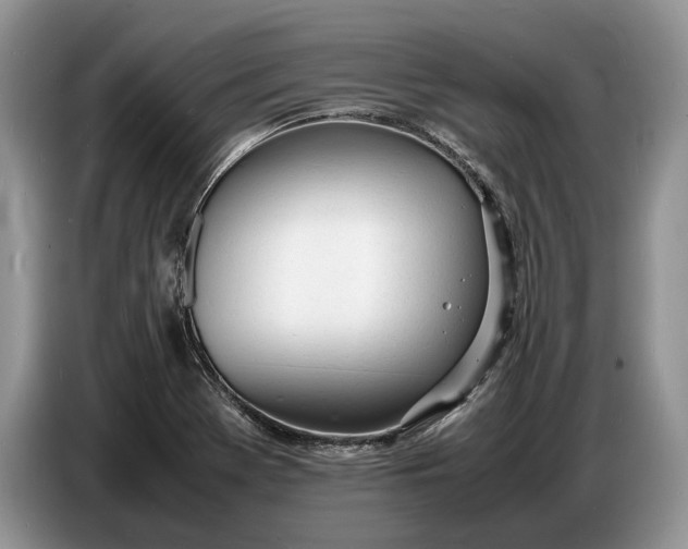 X0000086721369200704271602