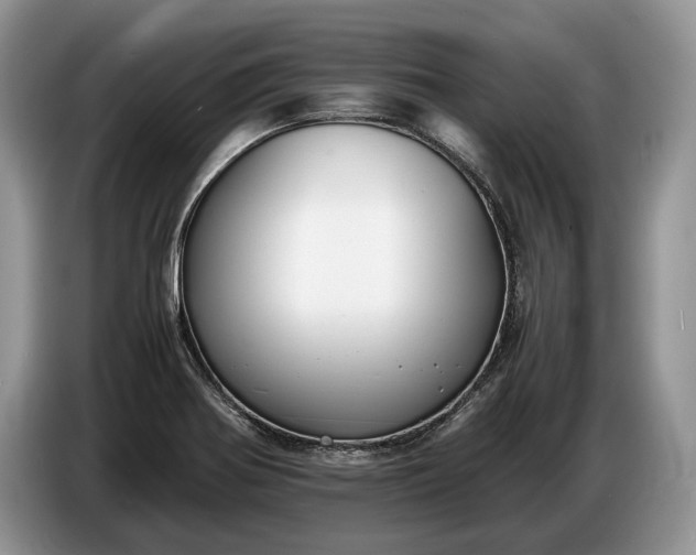 X0000086721370200704271602