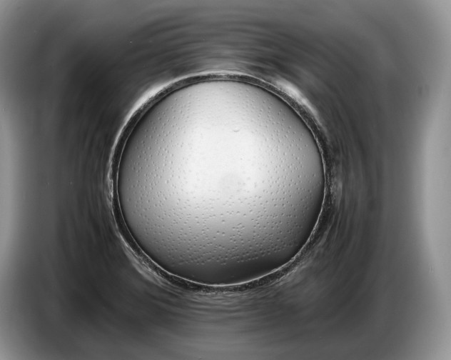X0000086721372200704271602