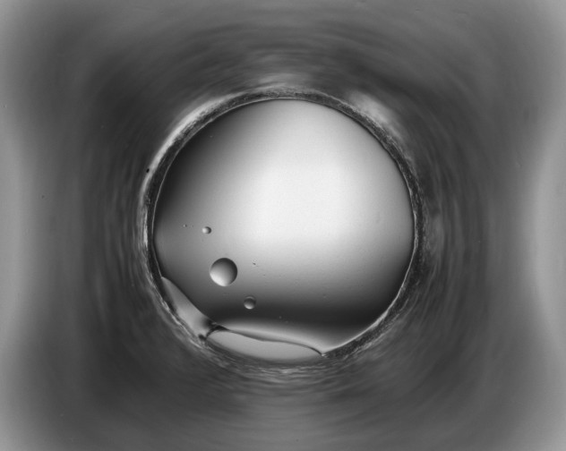 X0000086721376200704271602