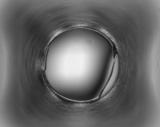 X0000086721377200704271602