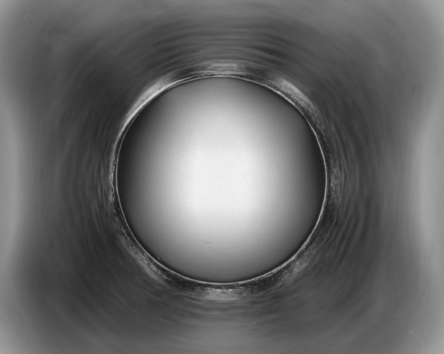 X0000086721378200704271602