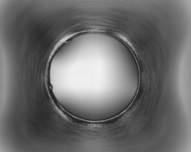 X0000086721379200704271602