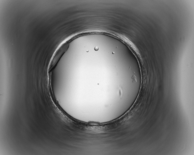 X0000086721380200704271602