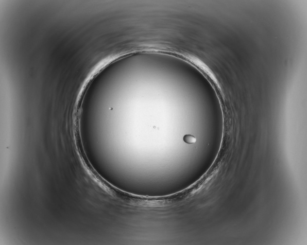 X0000086721381200704271602