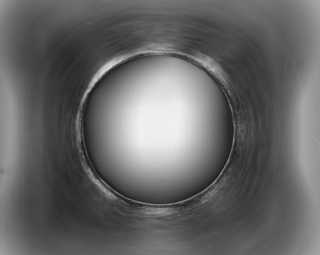 X0000086721382200704271602