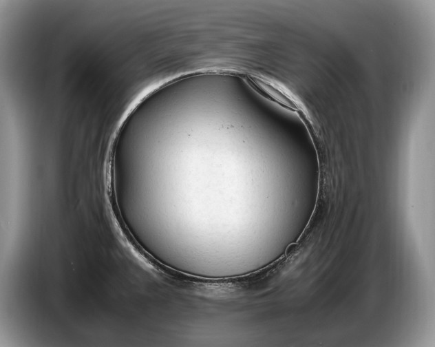 X0000086721383200704271602