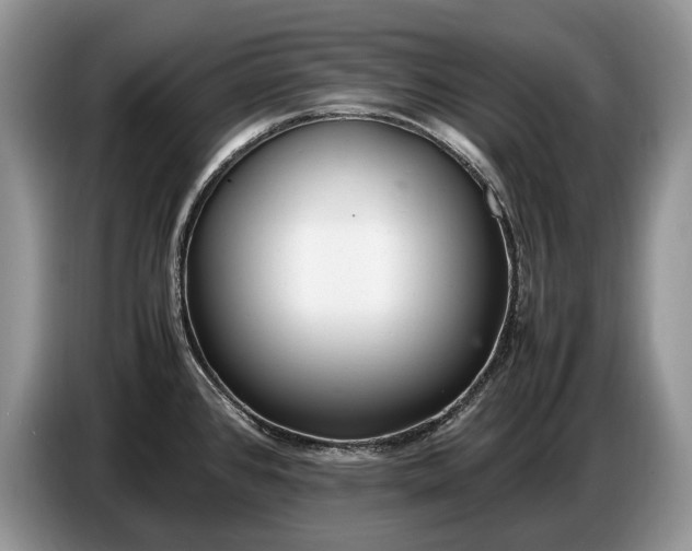 X0000086721384200704271602