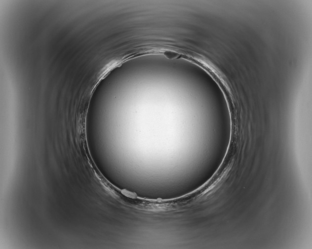 X0000086721385200704271602