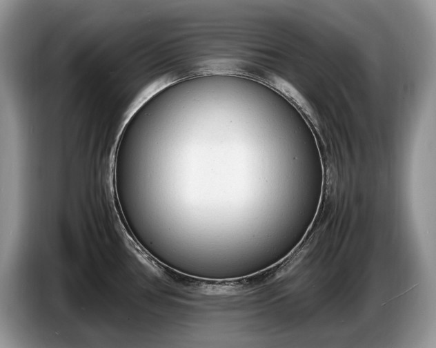 X0000086721386200704271602