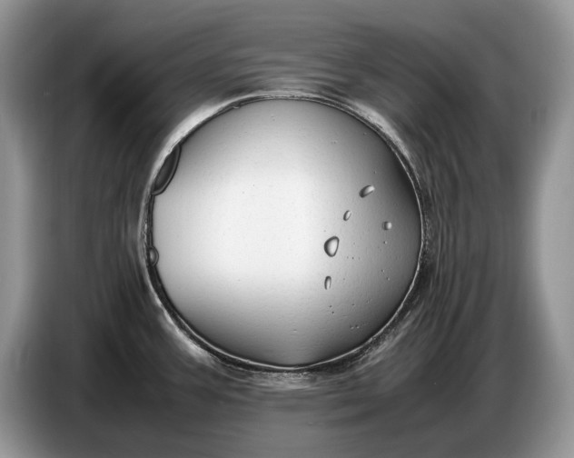 X0000086721387200704271602