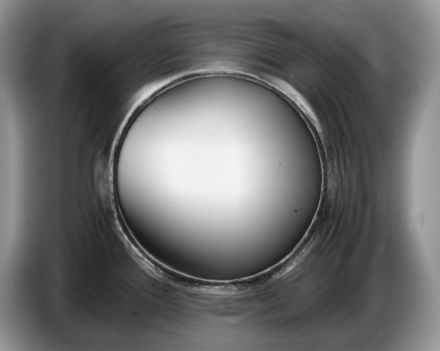 X0000086721388200704271602