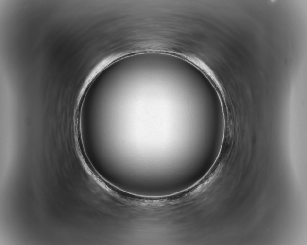 X0000086721389200704271602