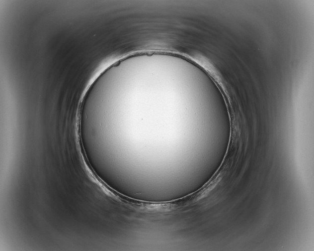 X0000086721390200704271602