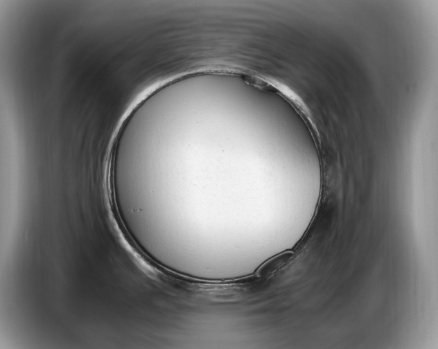 X0000086721391200704271602