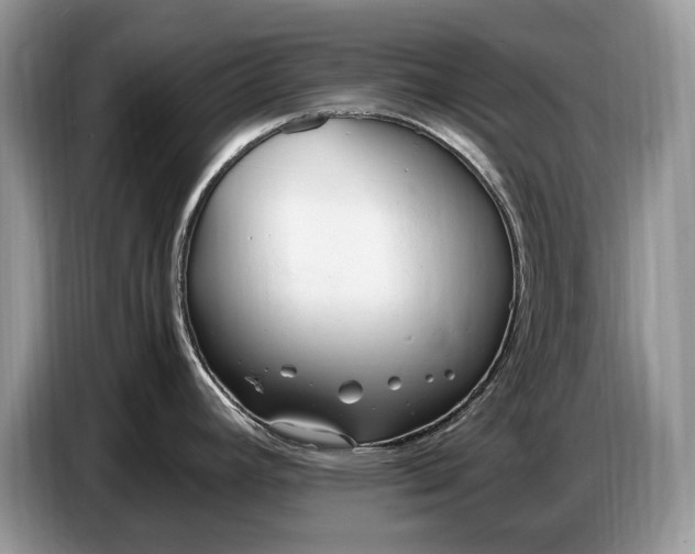 X0000086721392200704271602