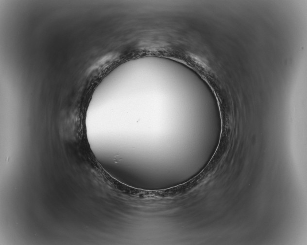 X0000086721398200704271601