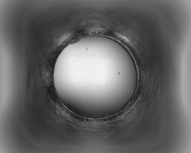 X0000086721399200704271601